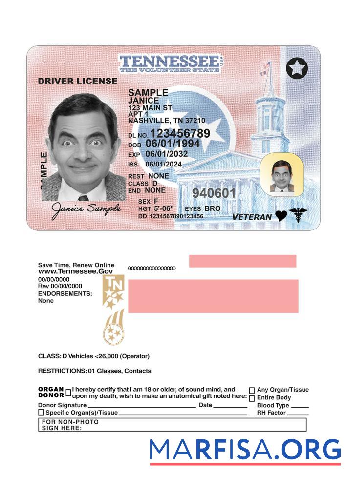 Blank USA Tennessee driving license 2024 present template